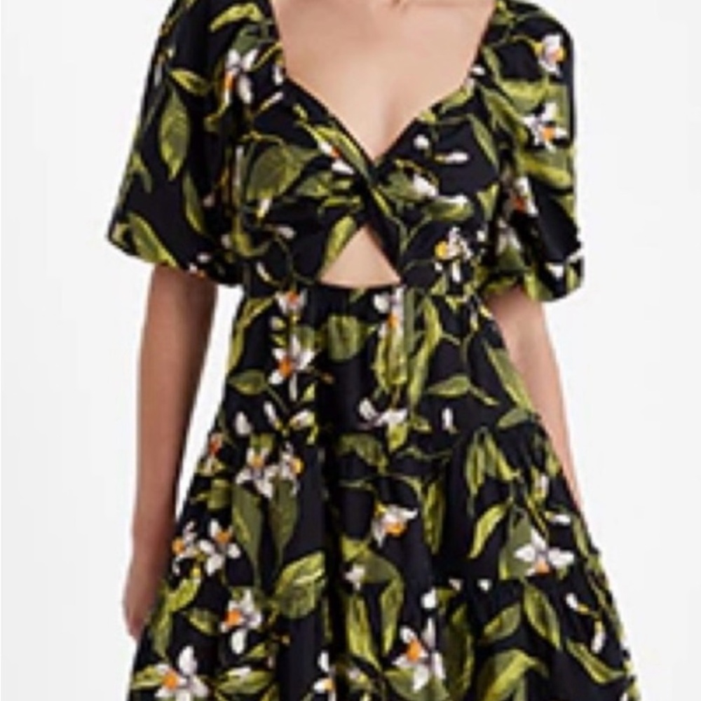 Express Floral V-Neck Dress